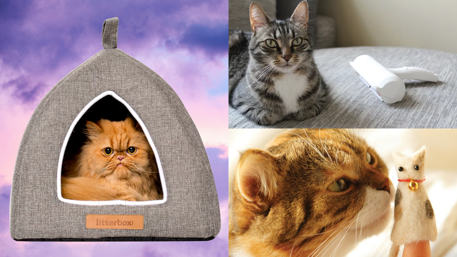 40 best cat gifts 2020: Amazing gifts 