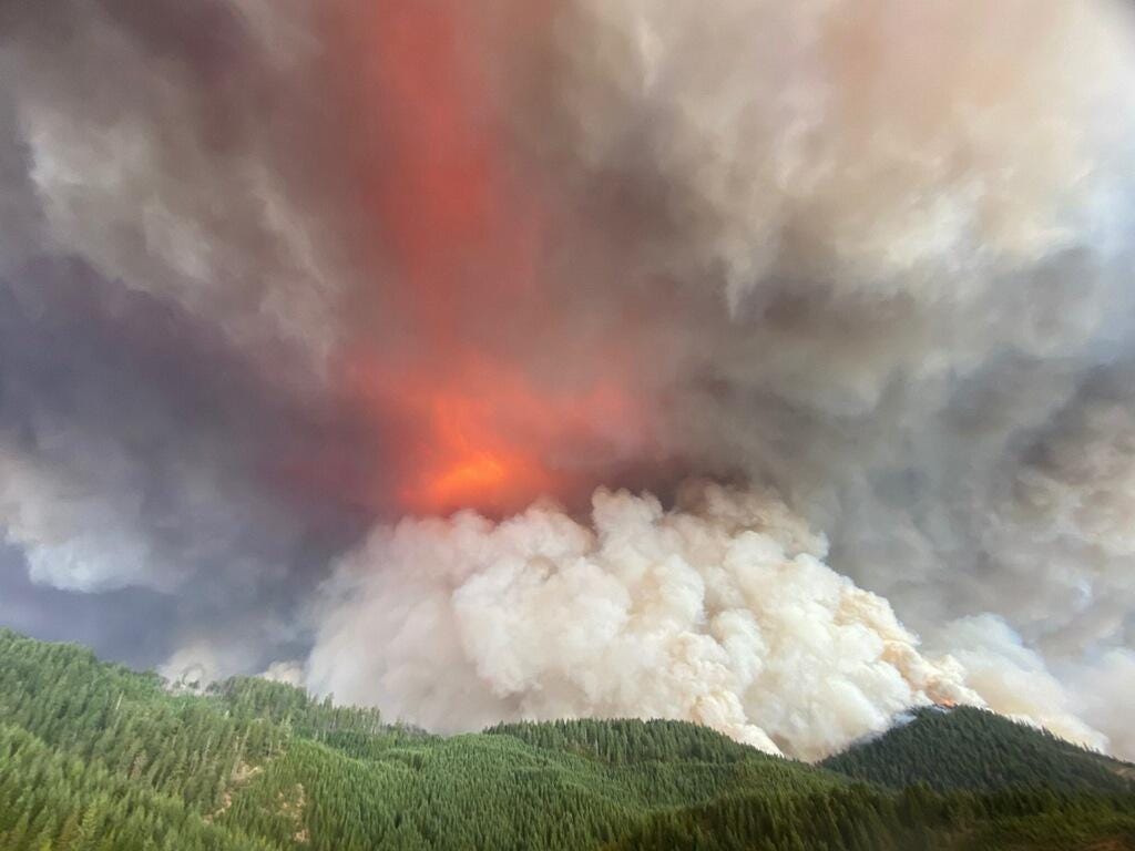 Cost of Oregon's 2020 wildfire season 609 million, and rising