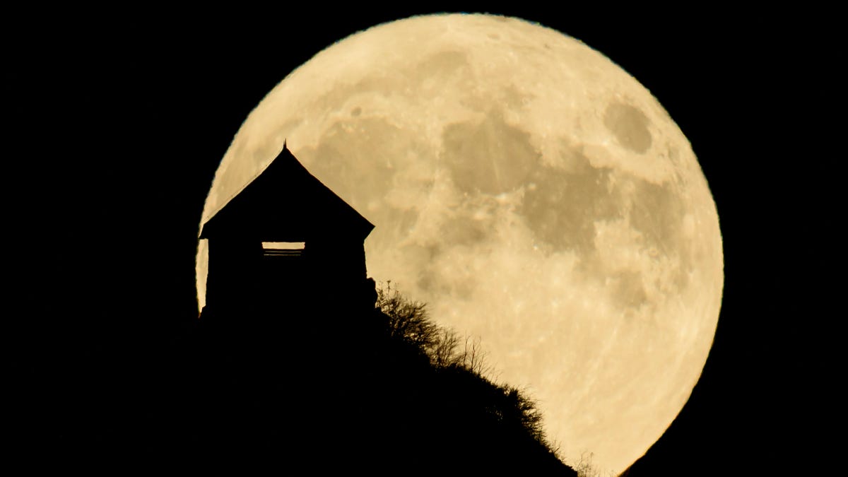 Photos Rare Halloween blue moon