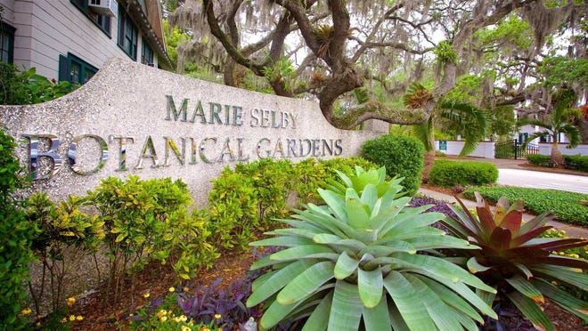 Marie Selby Botanical Gardens in Sarasota.