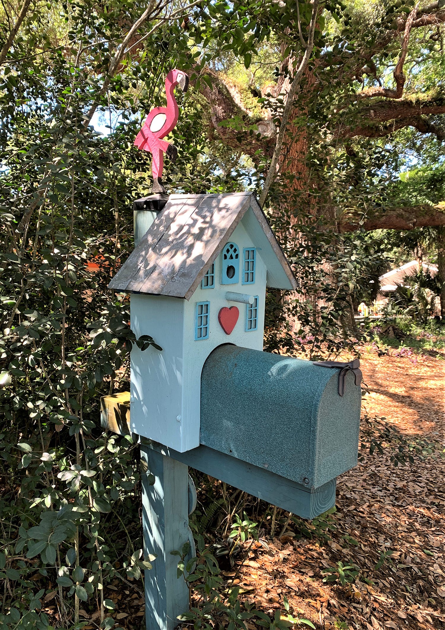 PICTURE THIS Anastasia Island