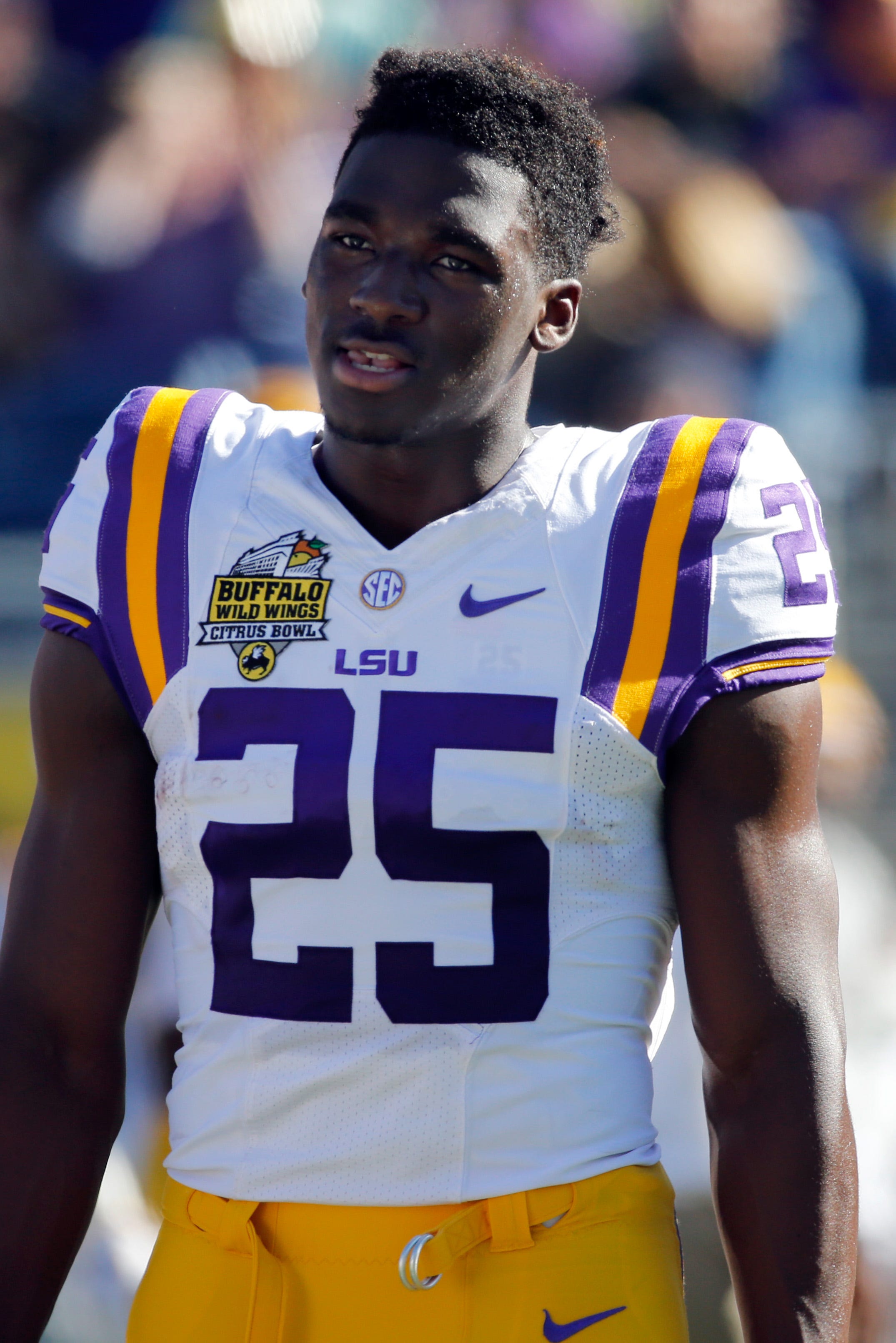 LSU Tigers wide receiver Drake Davis admitted punching a tennis player.