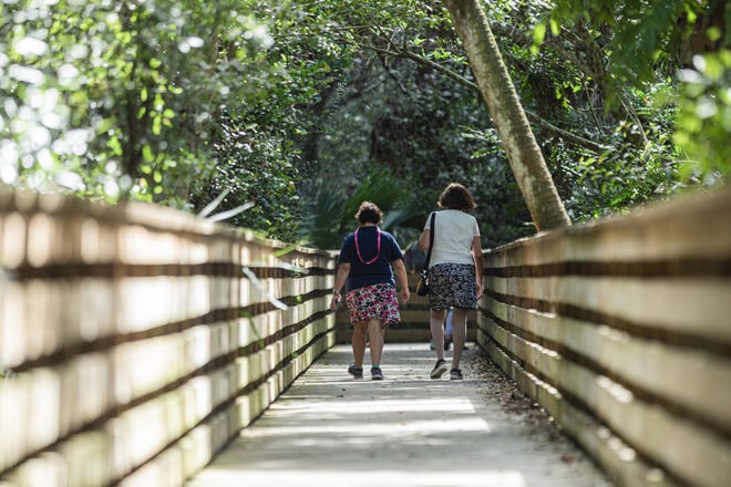 Two friends walk along the 1 mile boardwalk loop at Green Cay Nature Center and Wetlands in Boynton Beach, Thursday, November 5, 2020. Due to COVID-19 restrictions, everyone must wear a mask if they can’t social distance, and the boardwalk is one direction only. (JOSEPH FORZANO / THE PALM BEACH POST)