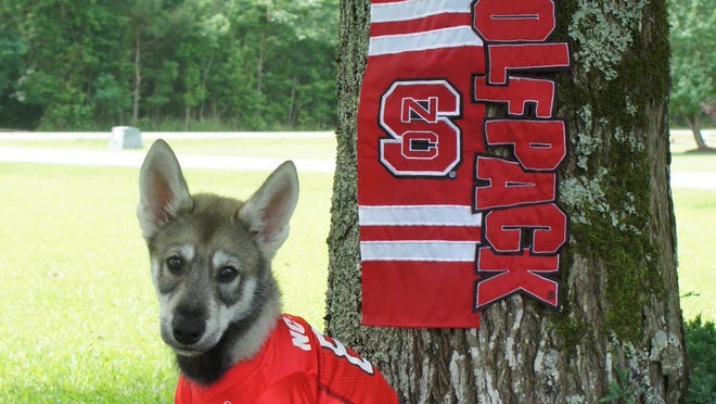 mascots tuffy i and tuffy ii