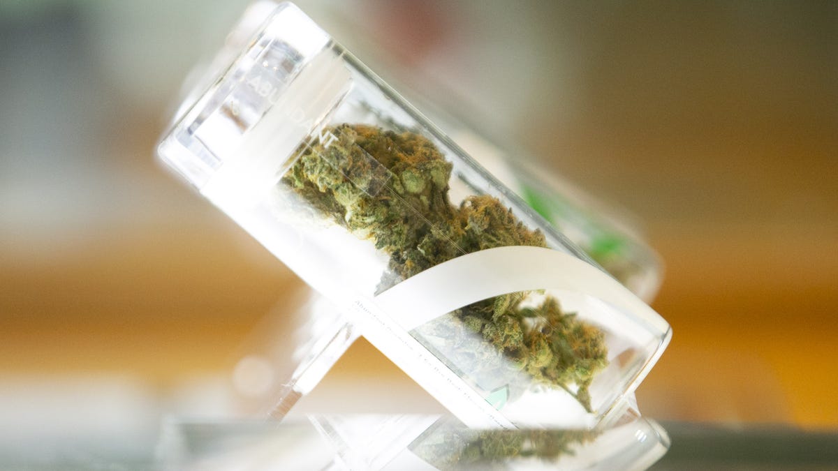 Harvest medical marijuana dispensary in Scottsdale