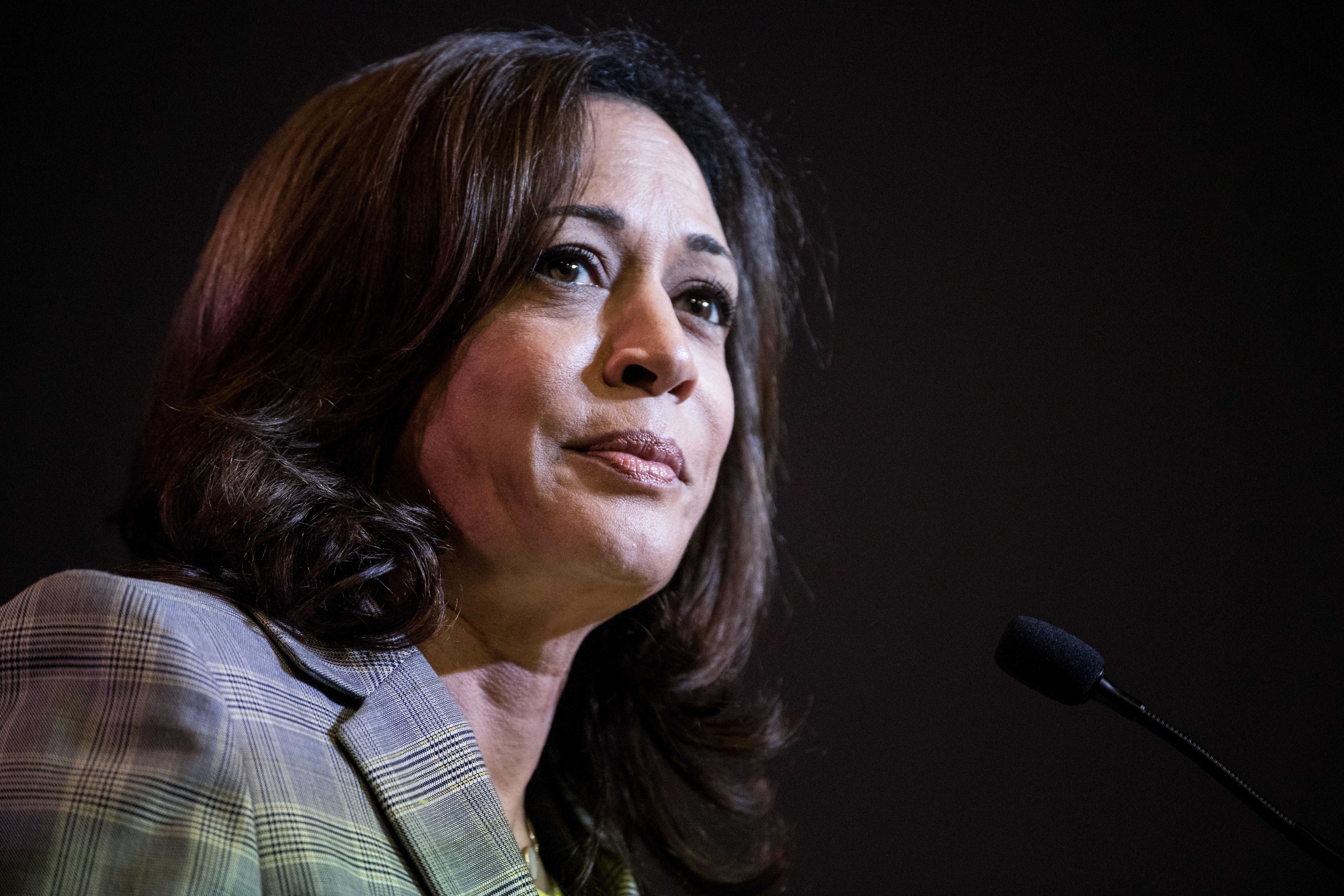 Kamala Harris Merangkul "Brat Summer" Charli XCX: Sebuah Strategi Kampanye yang Unik?
