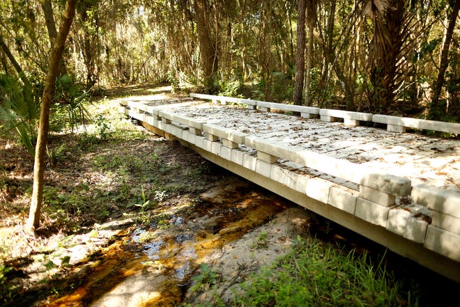 A small creek passes under one of the concrete boardwalks at the south entrance of Barr Hammock Preserve, which was partially funded by Wild Spaces Public Places, in Micanopy, Thursday Sept. 28, 2017.
