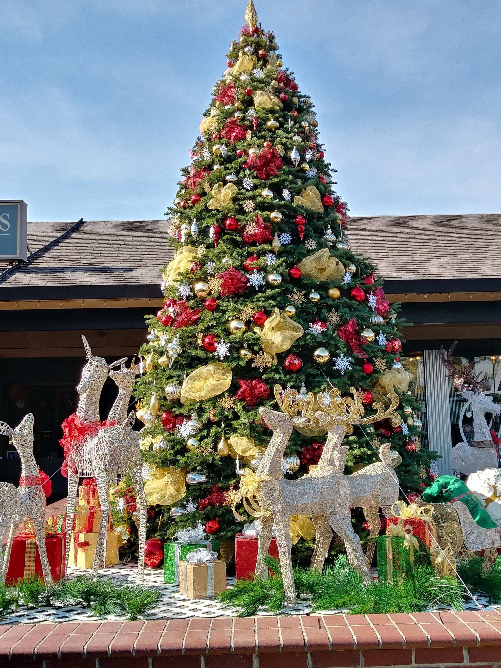 Pandemic created too much uncertainty to open Christmas tree lot
