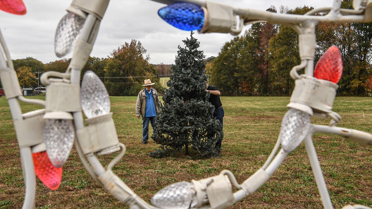 Anderson Christmas Lights 