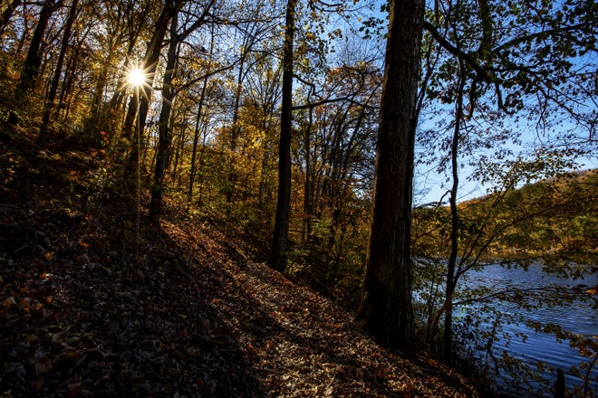 The trail around Tom Wallace Lake in Jefferson Memorial Forest is covered in leaves and long shadows as fall settles in. Nov. 4, 2020