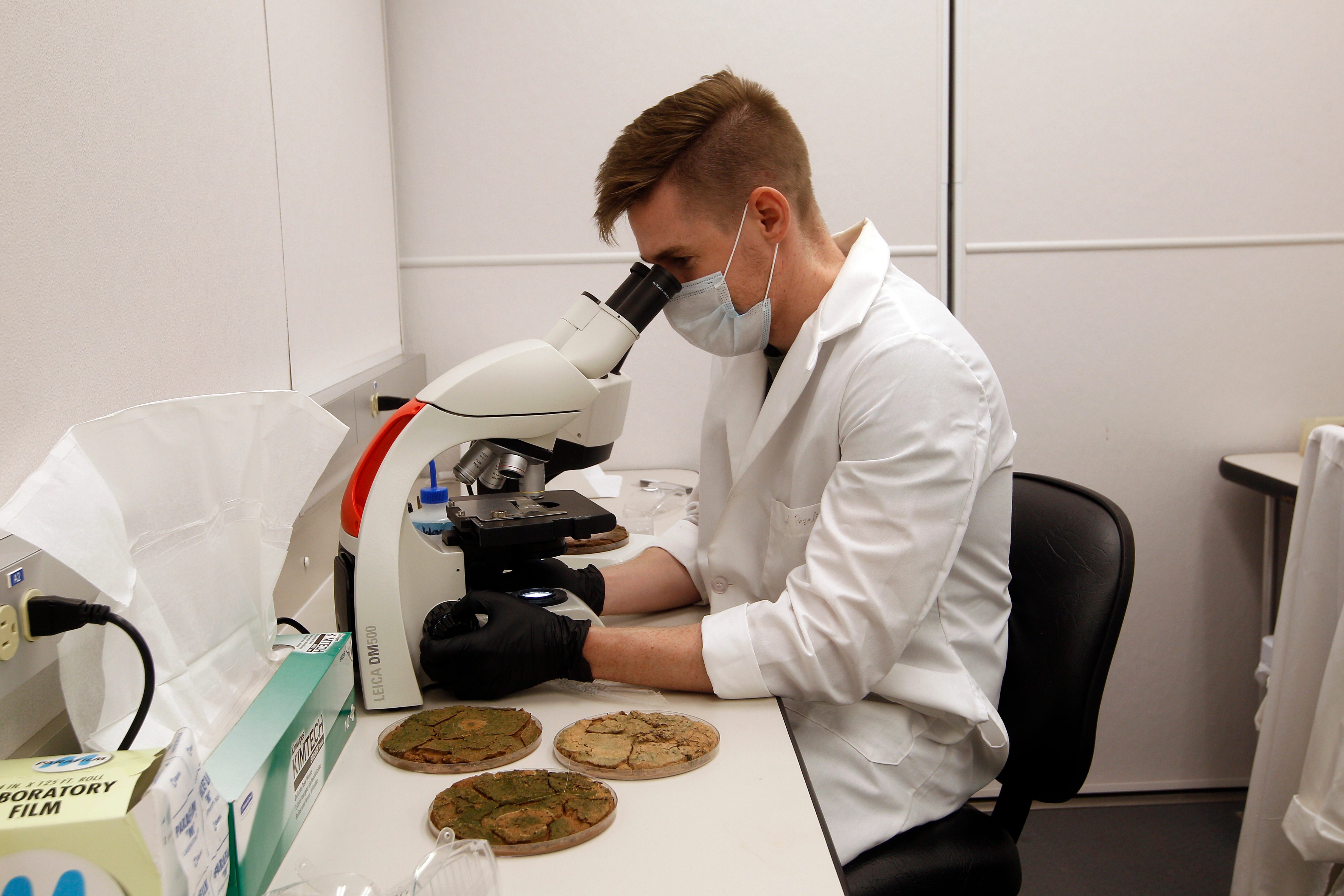 ASU research assistant Corey Nelson inspects samples of biocrust under a microscope.