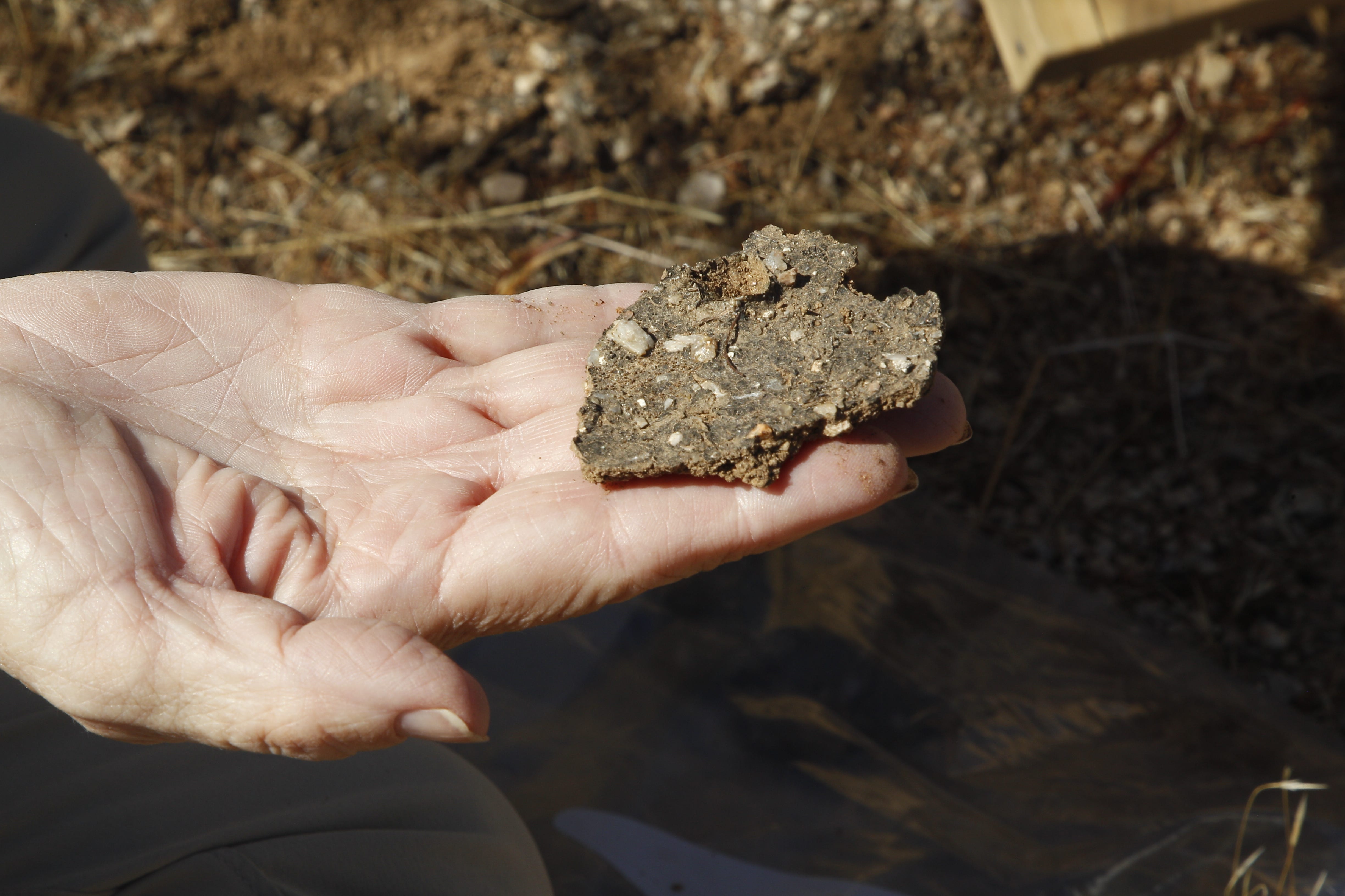 McDowell Sonoran Conservancy volunteer Debbie Langenfeld shows off a large piece of biocrust, which can look deceptively similar to regular soil.