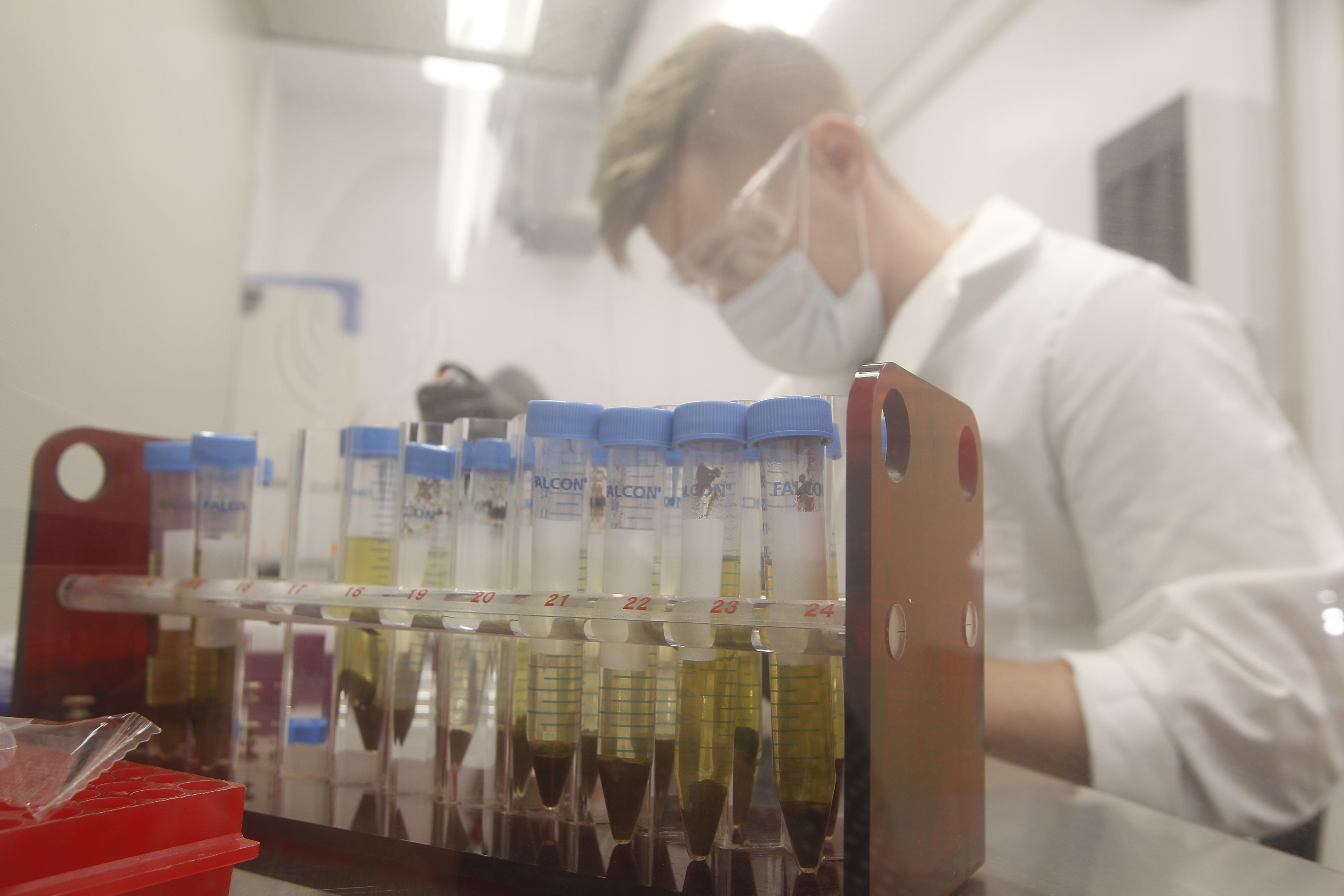 ASU research assistant Corey Nelson prepares samples of biocrust for testing.