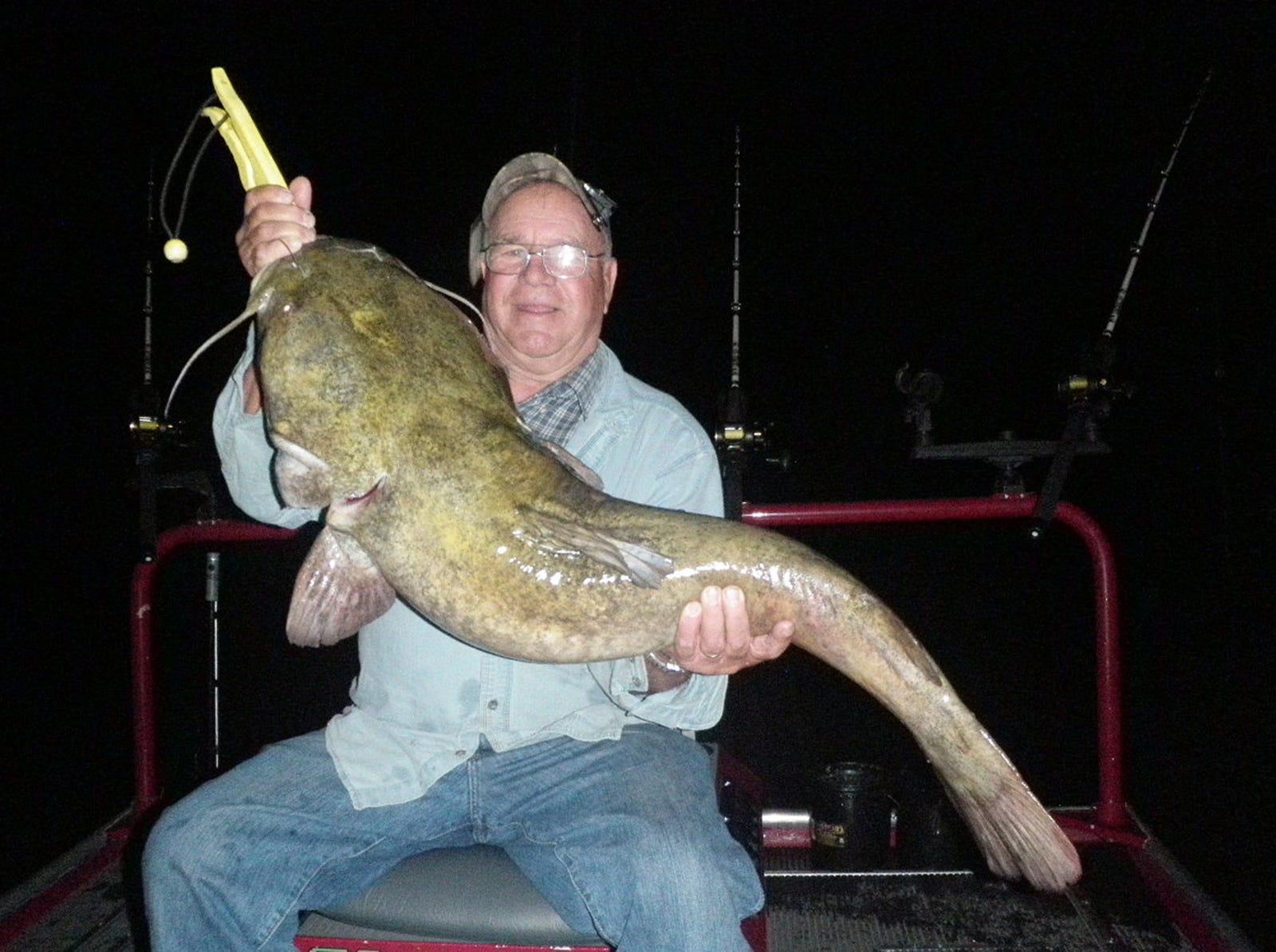 17 Biggest Fish Ever Caught: Meet the Giants!