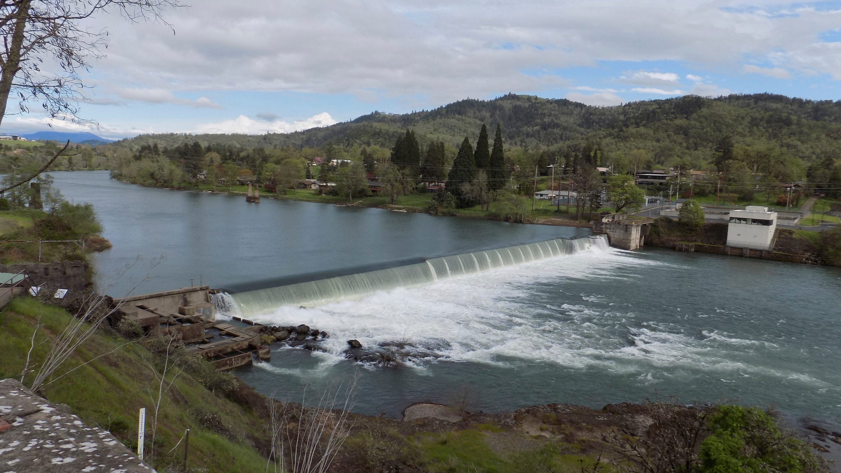 Fishing, environmental groups file suit in Eugene over Umpqua River dam - The Register-Guard