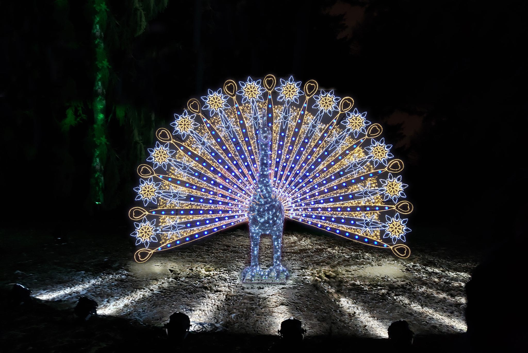 Burgess Park Christmas Light 2021 Winter Illuminations 2021 What To Know Dates Tickets Cost