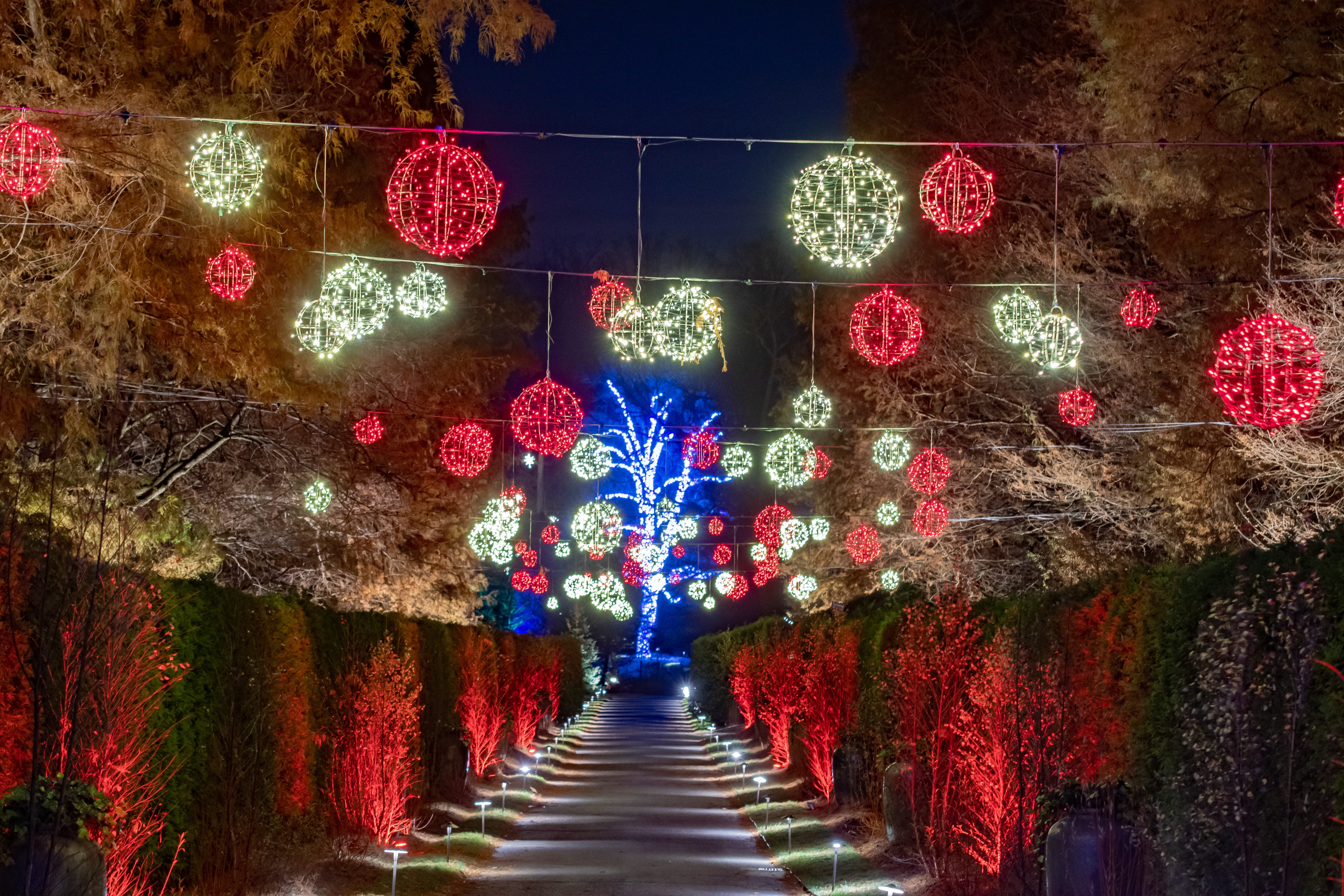 Here's how to get Longwood Christmas tickets