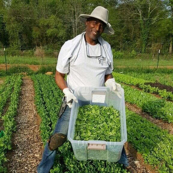 New farmers sector to start in Greenville’s Enjoyable Valley neighborhood New farmers sector to start in Greenville’s Enjoyable Valley neighborhood