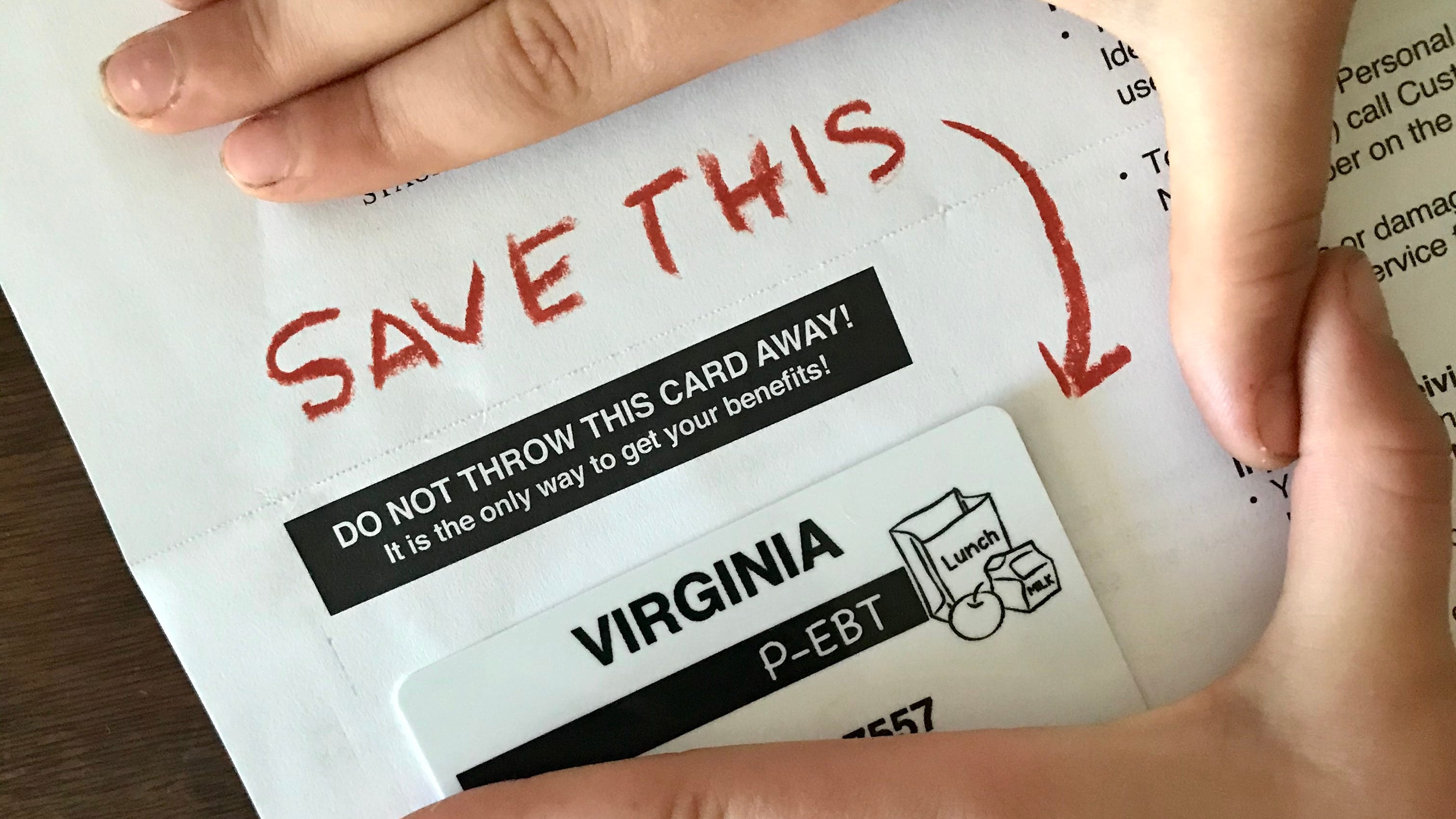 Georgia P Ebt Balance