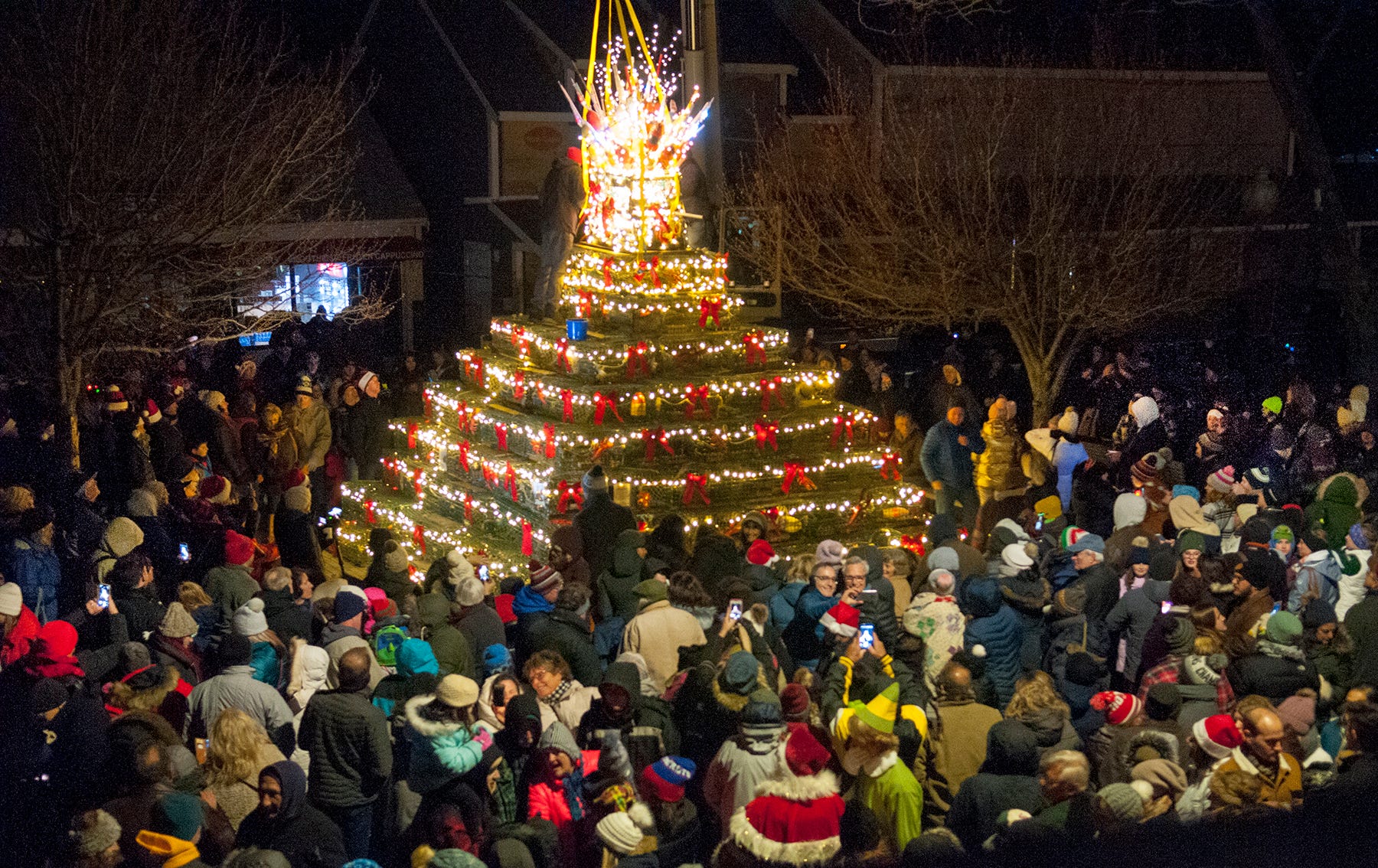 Provincetown Lobster Tree