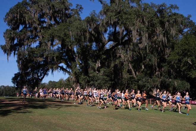 Runners compete in the Florida High School Athletic Association State Cross Country Championships at Apalachee Regional Park in Tallahassee Saturday, Nov. 14, 2020.