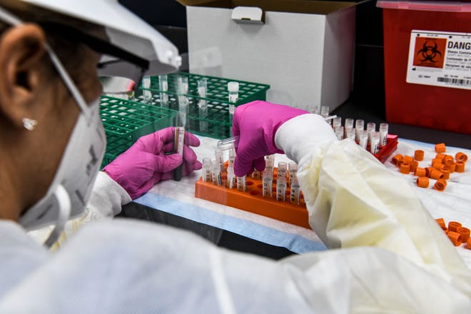 A lab technician sorts blood samples inside a lab for a Covid-19 vaccine study at the Research Centers of America (RCA) in Hollywood, Florida on August 13, 2020.