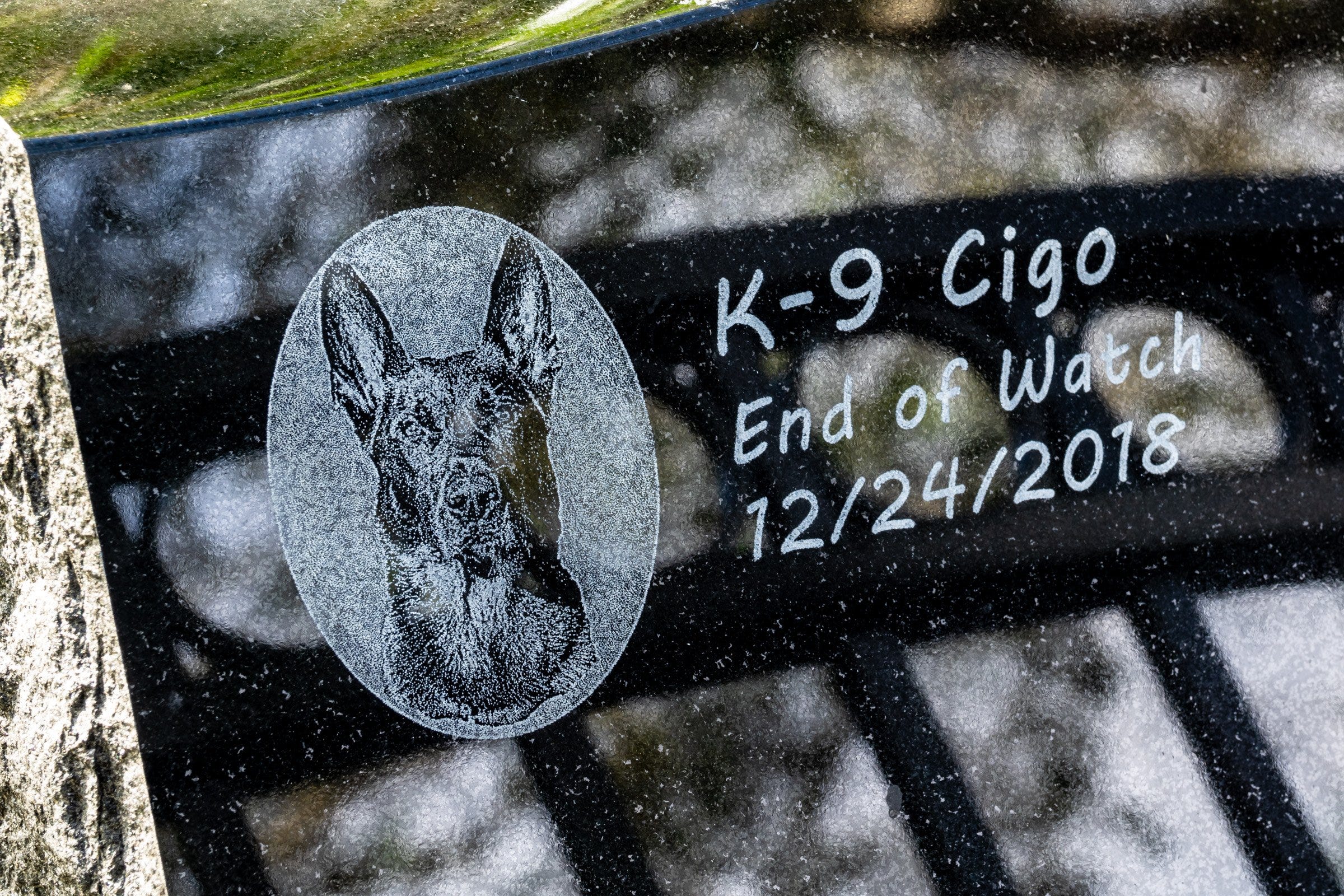 State To Charge Man In Wellington Mall Shootout Where Pbso K 9 Cigo Died