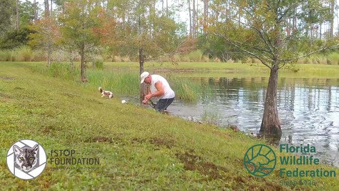 An Estero man is captured on camera saving his dog from an alligator in October.