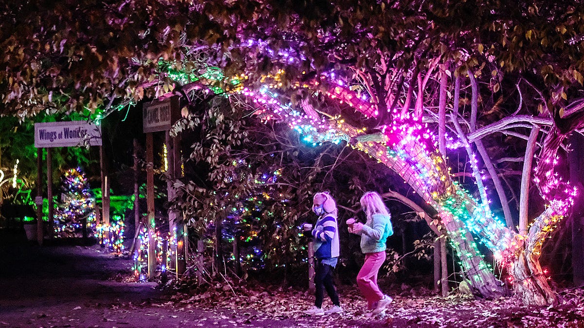 Potter Park Zoo Wonderland Of Lights