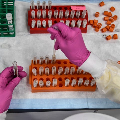 A lab technician sorts blood samples for COVID-19 