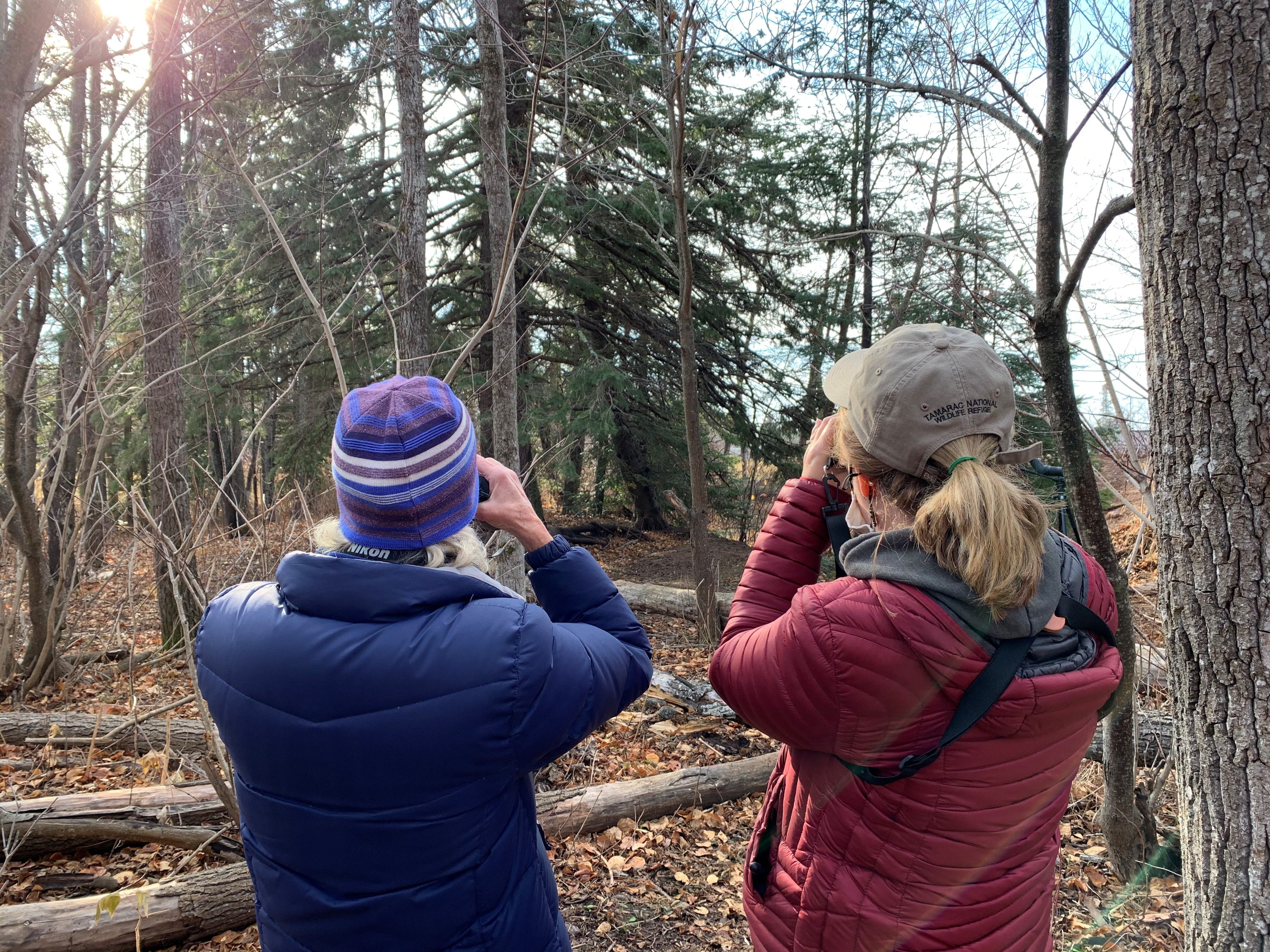 North Shore Birding Trip Provides Beginner With Long List Of Firsts
