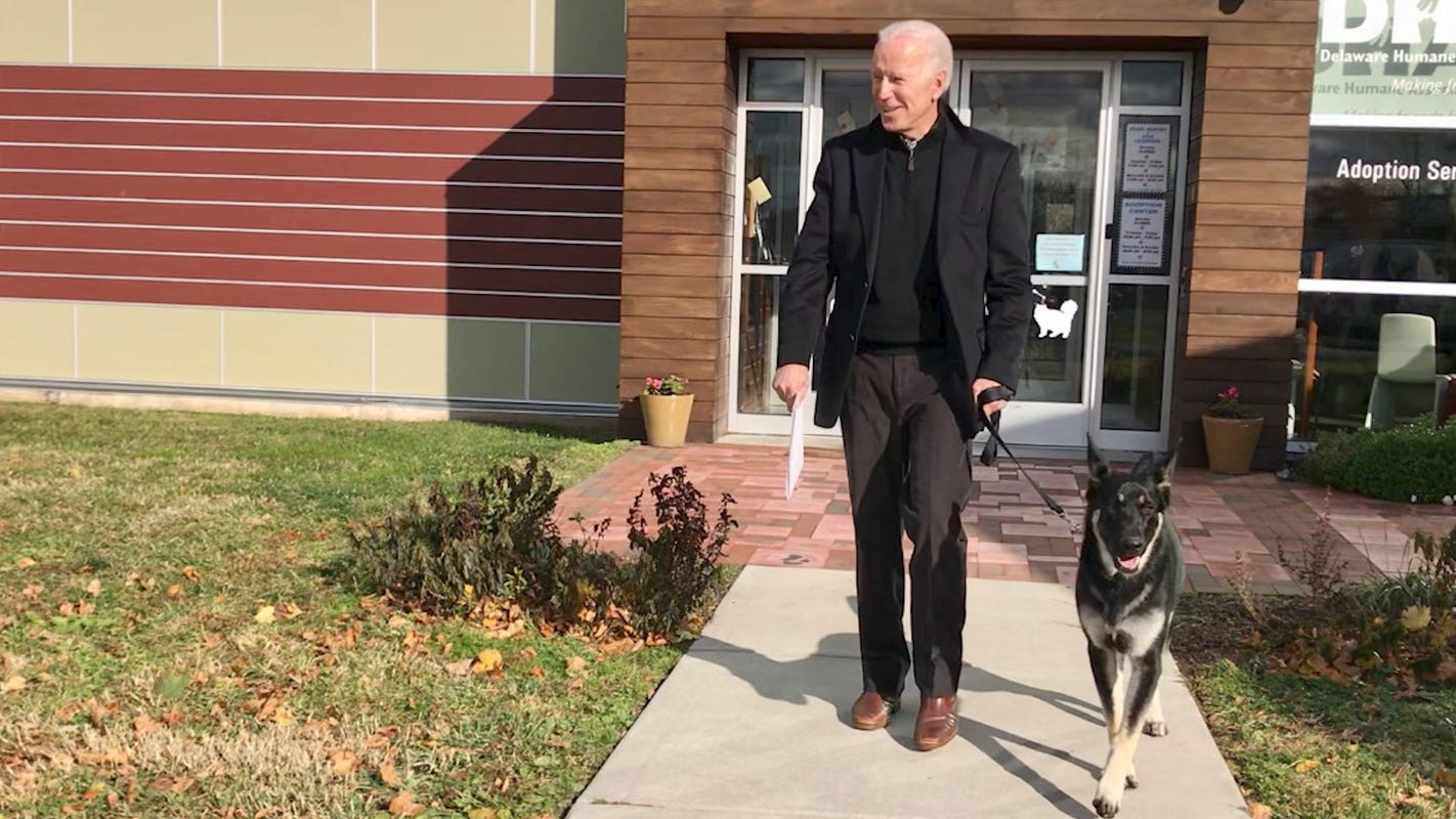 Biden dogs star in charming Christmas video; Trumps recount Christmas 'miracle' in theirs thumbnail