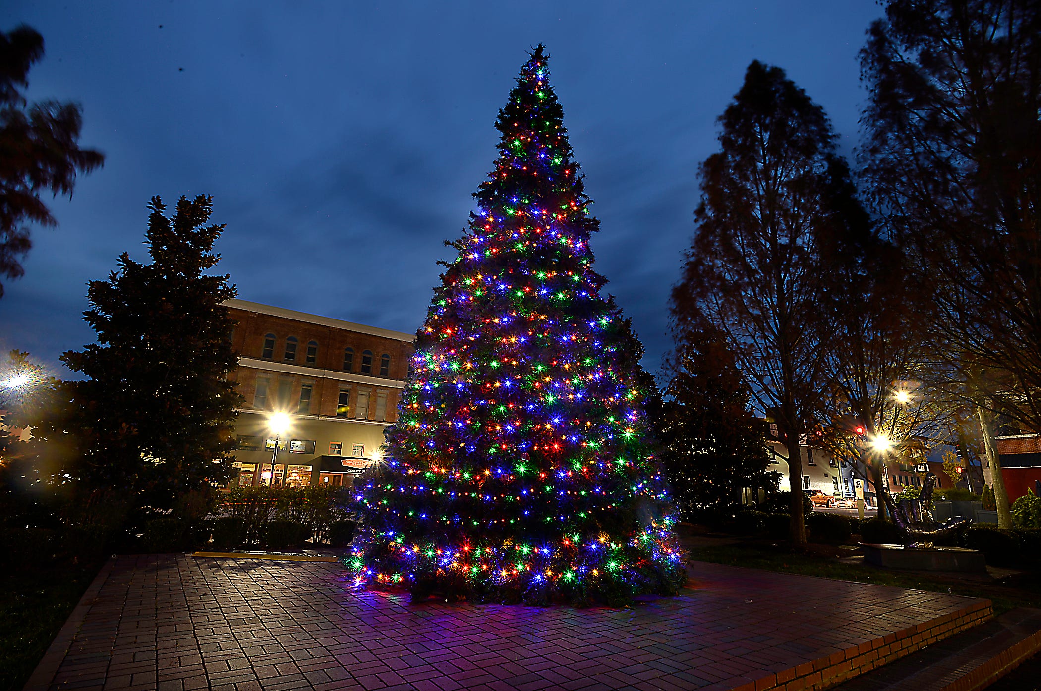 2022 Waynesboro Christmas Tree Lighting Christmas In Spartanburg: 5 Family-Friendly Things To Do