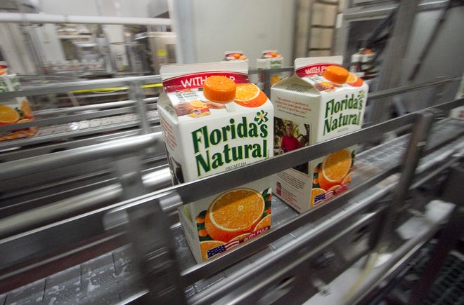 Carton's of fresh Florida orange juice exit the carton filling processing machine at Florida's Natural in Lake Wales.