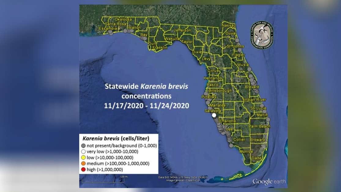 Patchy Florida Red Tide Detected In Sarasota County And Other Counties Red Tide Florida 2022 Map Sarasota