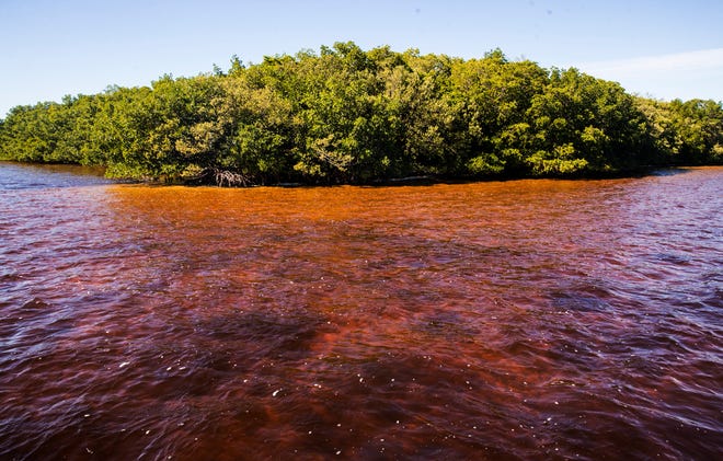 Reddish water from the discharges from Lake Okeechobee is seen in San Carlos Bay near the mouth of Caloosahatchee River on Wednesday, December 2, 2020.