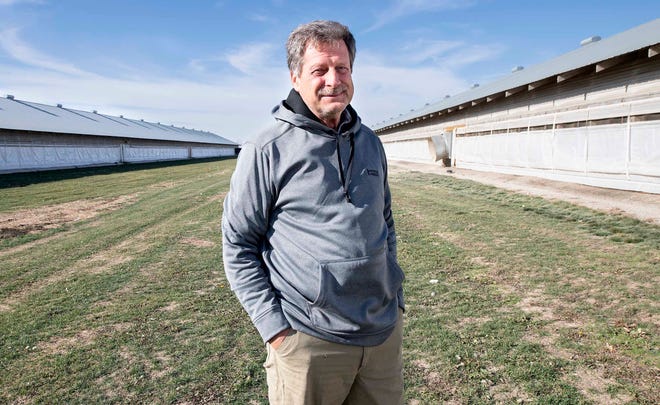 Buena Vista County turkey farmer Dale Christiansen stands between two of the three barns on his farm east of Newell, Iowa, Wednesday, Nov. 18, 2020. Five years ago, avian influenza devastated Christiansenâ€™s turkey farm.  Christiansen how has about 27,000 birds in three barns at the location.