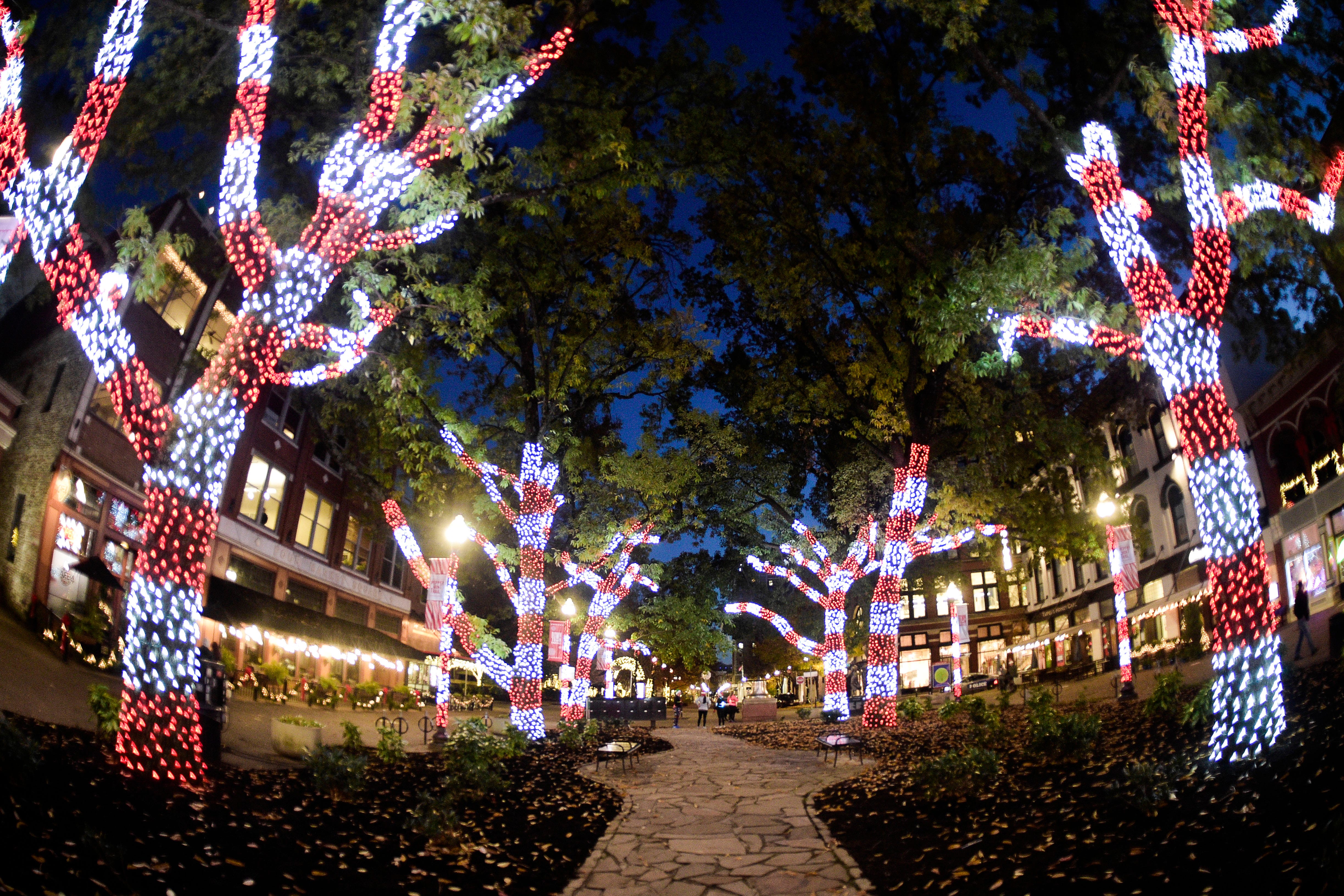 Christmas In Knoxville Tn 2022 What To Do In Downtown Knoxville, East Tennessee For Christmas