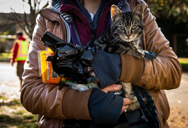Amanda Harley holds her cat, Ted, while her partner Tim Meyers cleans their area during a Eugene camp sweep in 2020. People experiencing homelessness who have pets, partners or possessions they want to keep close are often not able to access shelter. Low-barrier shelters reduce as many obstacles as possible between people and shelter.
