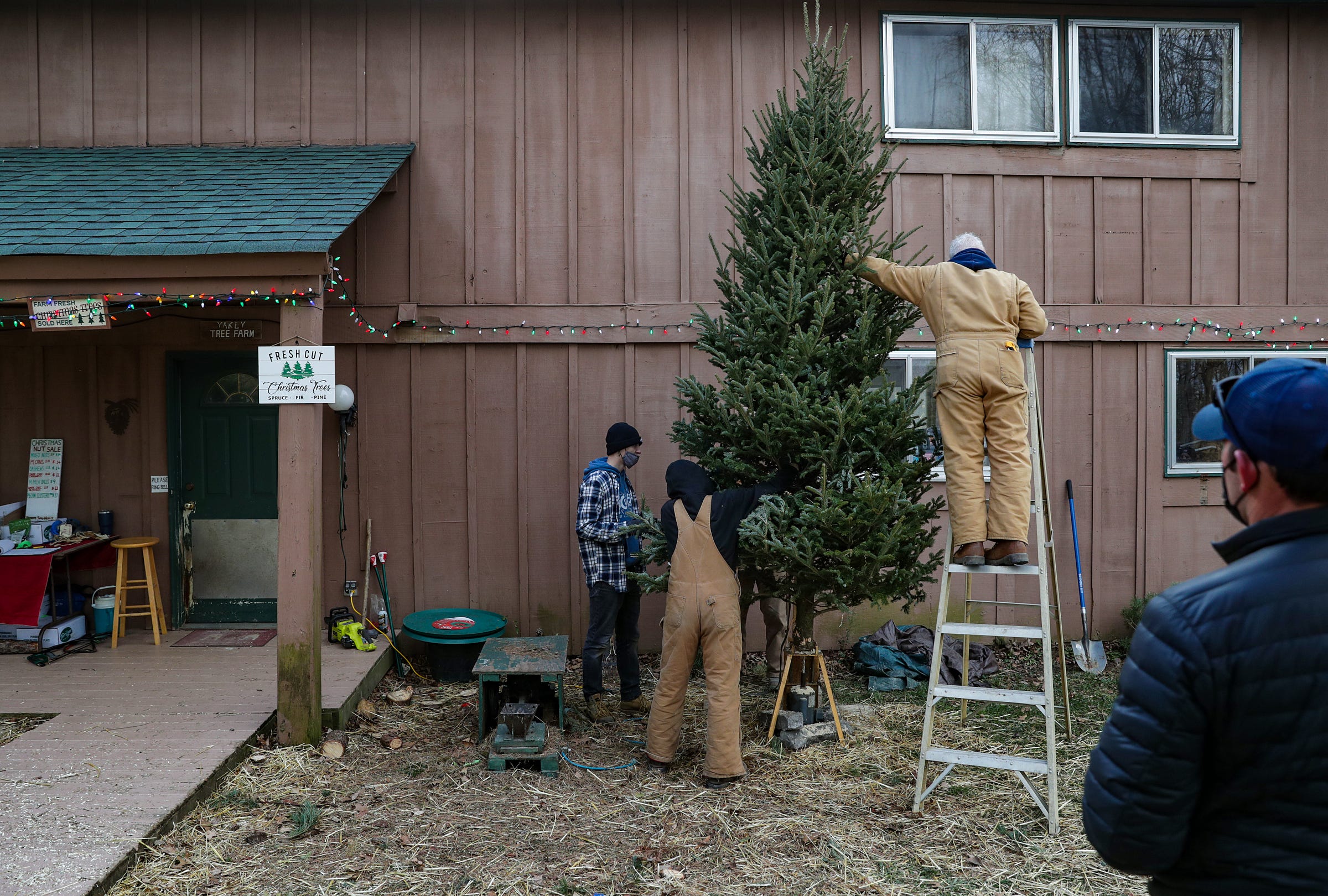 For decades, Yakey Tree Farm in Fishers has put the holiday cheer