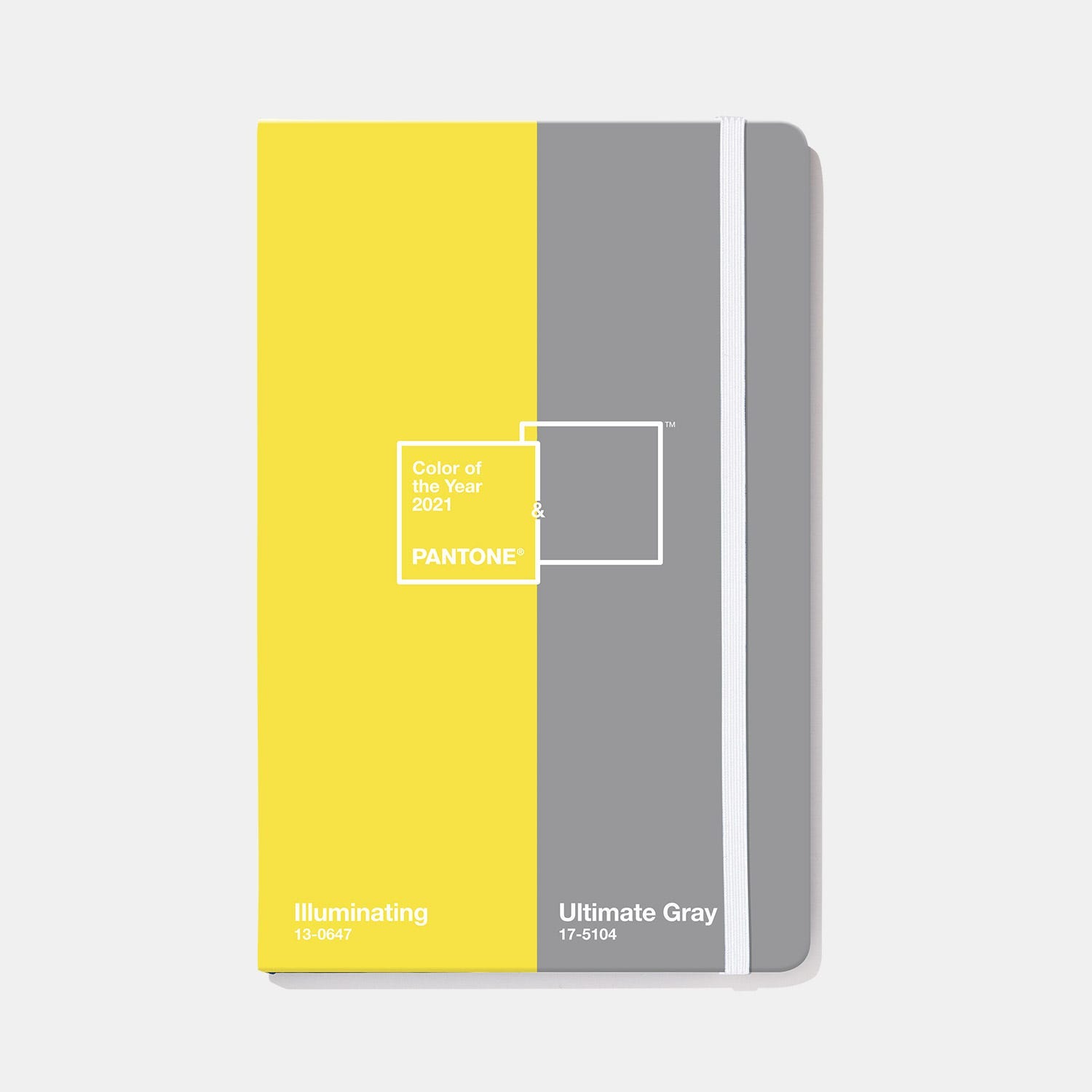 Pantone Color Of The Year 2021 Illuminating Ultimate Gray