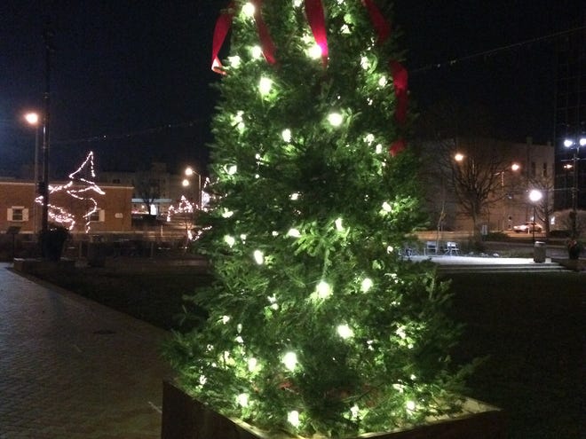 Richmond's city tree is decorated at Jack Elstro Plaza.