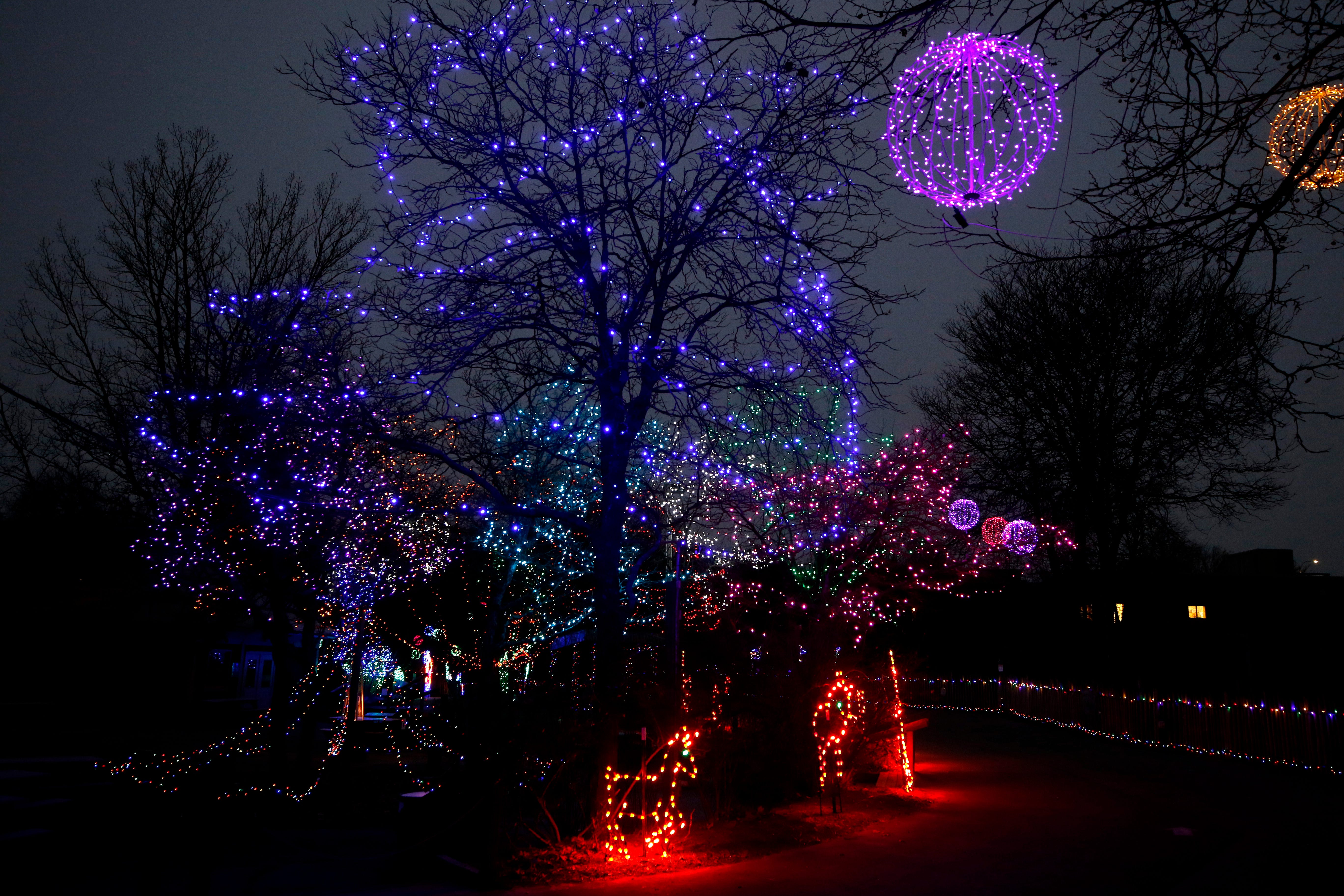 Christmas Lights Near Me Rhode Island 2022 Christmas Lights In Ri: Great Displays In 2021