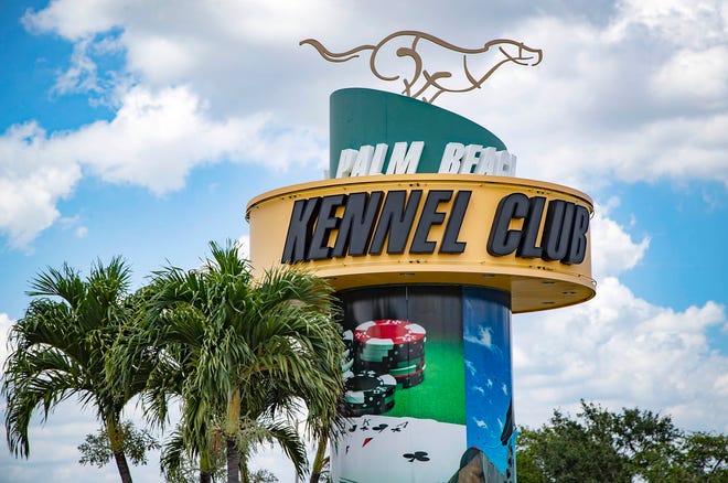 Palm Beach Kennel Club hosted its final, and richest, stakes race Saturday. Abbi’s Frontman picked up the historic win.