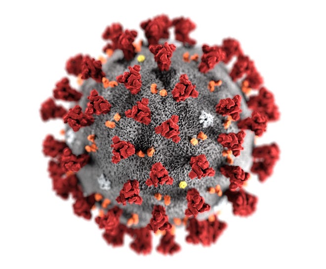 Illustration of the coronavirus by the CDC.
