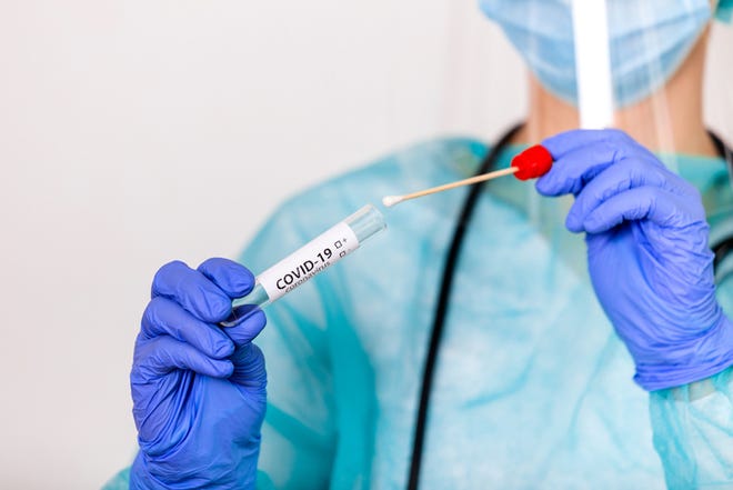 A lab technician holds a swab collection kit, Coronavirus COVID-19 specimen collecting equipment, DNA nasal and oral swabbing for PCR polymerase chain reaction laboratory testing procedure and shipping.