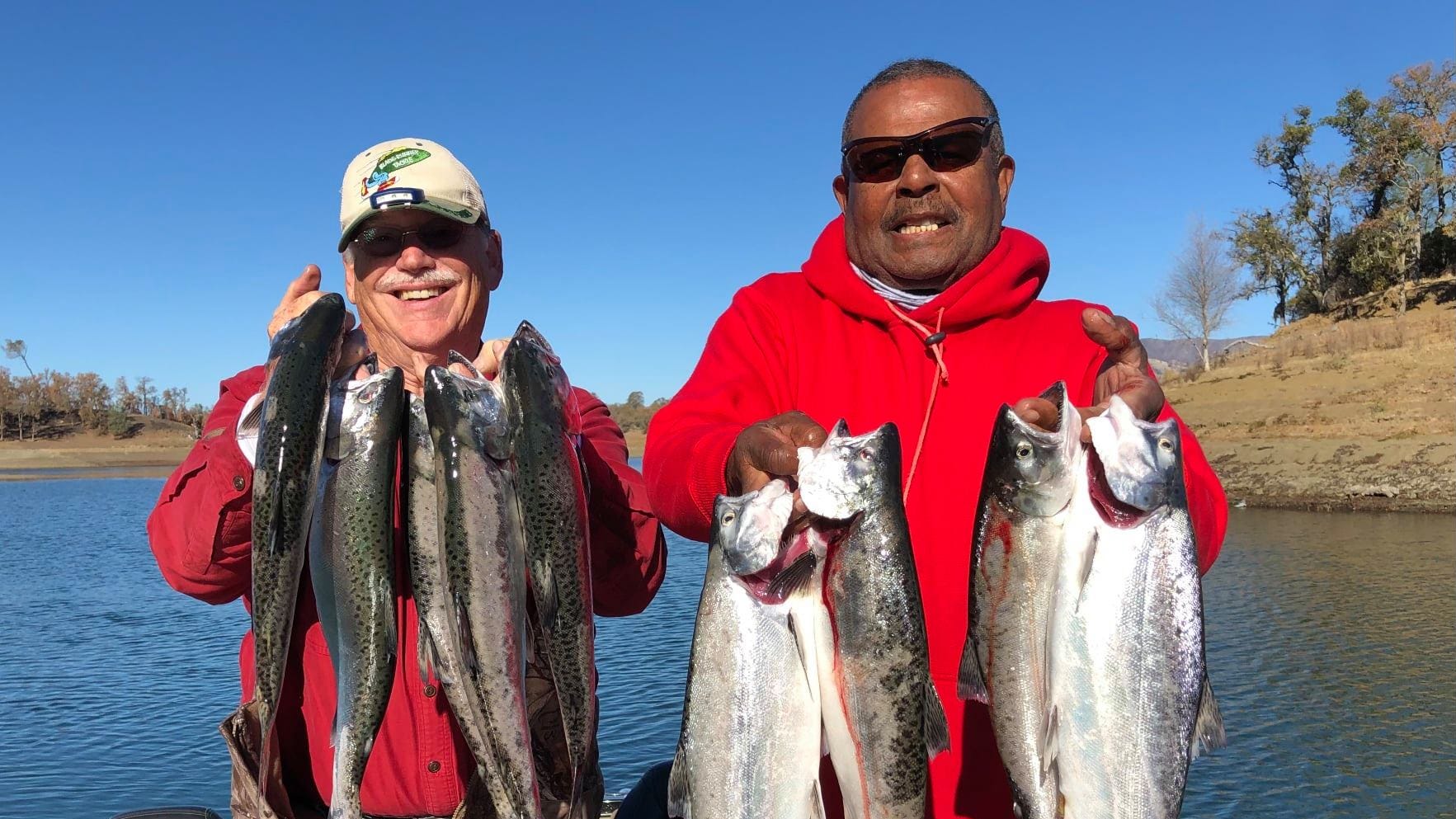 Salmon chum road king crossing usfws relatable stuck extremely traffic migrating washington through techkee spawning nonetheless Kings hitting at Berryessa, Oroville as river salmon season ends