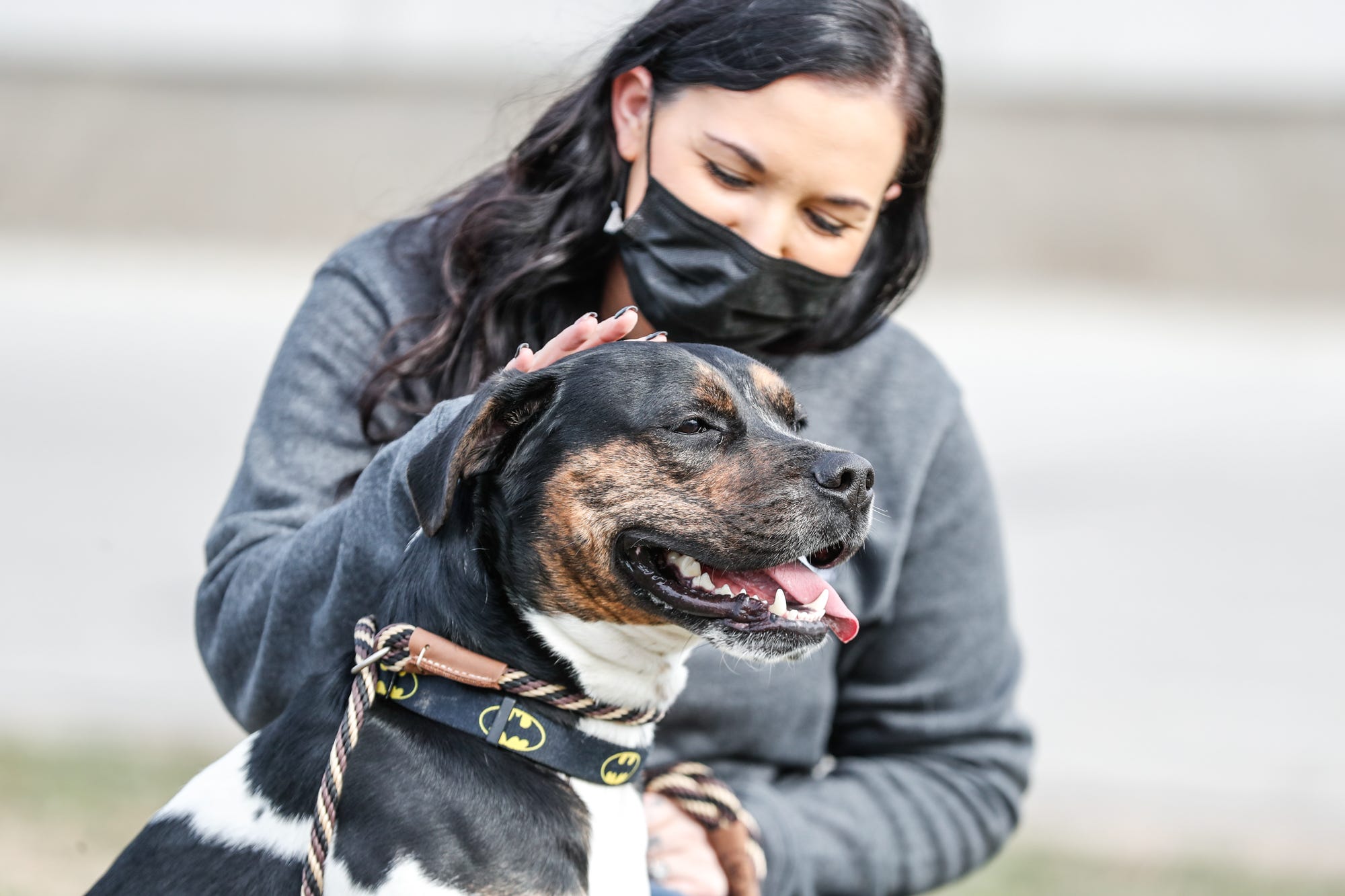 Humane Society for Hamilton County: Animal shelters planning for 2021 Humane Society for Hamilton County: Animal shelters planning for 2021