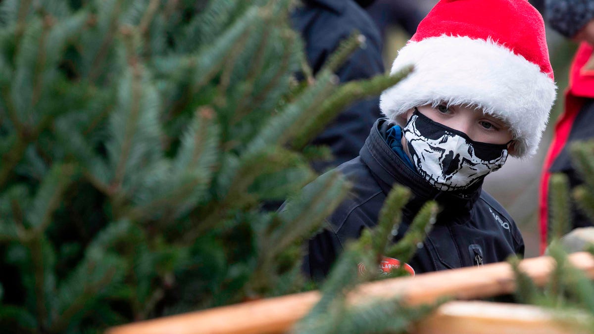 In this file photo taken on Dec. 5, 2020 a boy wears a Santa hat and mask while looking for a Christmas tree at a farm in Harrowsmith, Ontario, Canada.