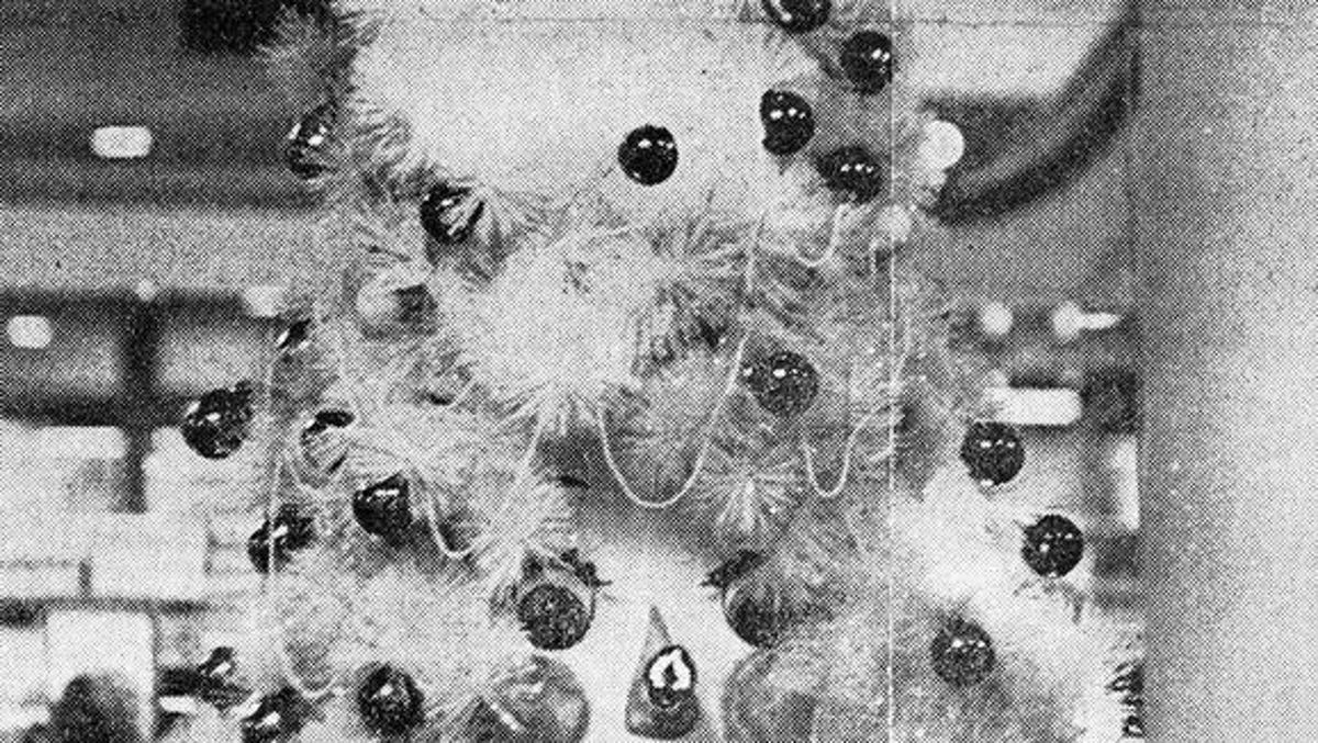 This photo was taken in 1966, the first year of the talking Christmas tree at Bergner's in Sheridan Village in Peoria.